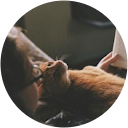 Co Mi profile picture