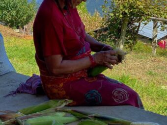 Sweet Corn- Bethanchok -3 Dhunkharka Kavre Nepal