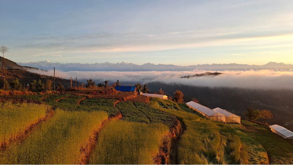 Mount Mahabhaarat Eco-Organic Farm, Bethanchowk, Nepal